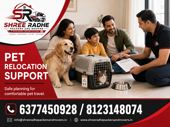 Pet Relocation Support in Bengaluru